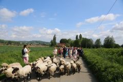 2024-05-transhumance-4034