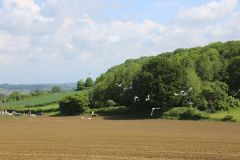 2024-05-transhumance-4040