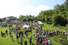 2024-05-transhumance-4045