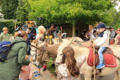 2025-06-transhumance-026