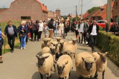 2025-06-transhumance-035