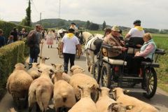 2025-06-transhumance-036