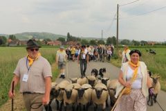 2025-06-transhumance-037