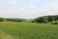 2025-06-transhumance-041