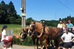 2026-05-transhumance-029