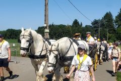 2026-05-transhumance-030