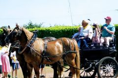 2026-05-transhumance-035
