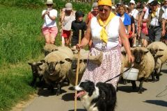 2026-05-transhumance-036