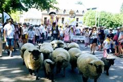 2026-05-transhumance-038