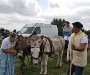 Fête de l'attelage 2018 - 02