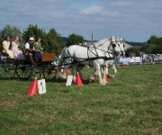 Fête de l'attelage 2018 - 05