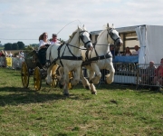 Fête de l'attelage 2018 - 09