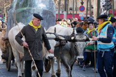 2022-foliesbearnaises26