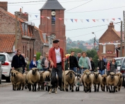 2015Transhumance04