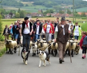 2015Transhumance13