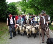 2015Transhumance20