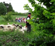 2015Transhumance21