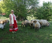 2015Transhumance22