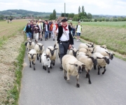 2015Transhumance28