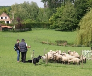 2016Transhumance02