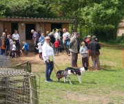 2016Transhumance03