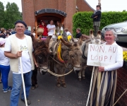 2016Transhumance08