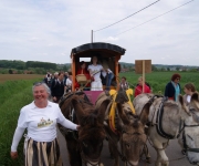 2016Transhumance25