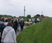 2016Transhumance26