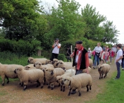 2016Transhumance32