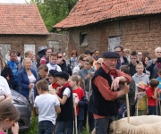 2016Transhumance39