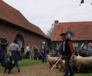 2016Transhumance41