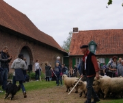 2016Transhumance42