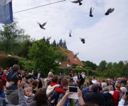 2016Transhumance53