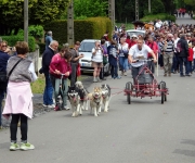 2016Transhumance55