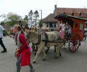 2016Transhumance60
