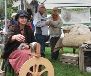 2016Transhumance66