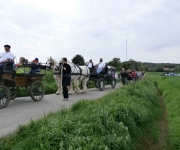 2016Transhumance82