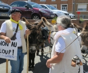 2017Transhumance03