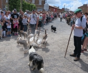 2017Transhumance18