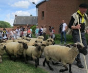 2017Transhumance19