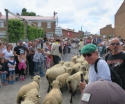 2017Transhumance20