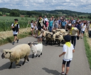 2017Transhumance26