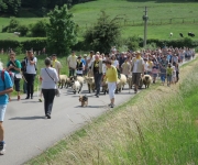 2017Transhumance36