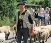 2017Transhumance37