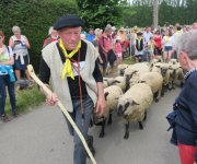 2017Transhumance44