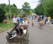2017Transhumance45