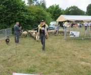 2017Transhumance54
