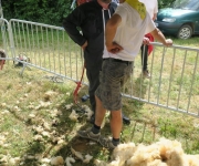 2017Transhumance57