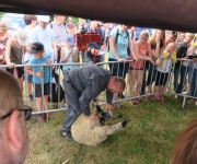 2017Transhumance58