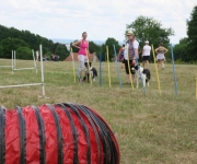 2017Transhumance62